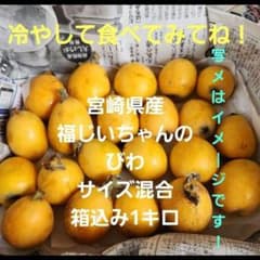 ⭕一度食べてみてね！宮崎県産　福じいちゃんのびわ　サイズ混合　箱込み約1キロのサムネイル