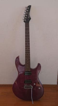 Fernandes NTG-LTD 　ガールズバンドクライ　ヒナ Fernandes NTG-LTD ガールズバンドクライ ヒナ - メルカリ