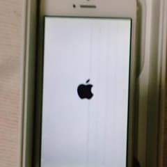 iPhone5s  白ゴールド 本体のサムネイル