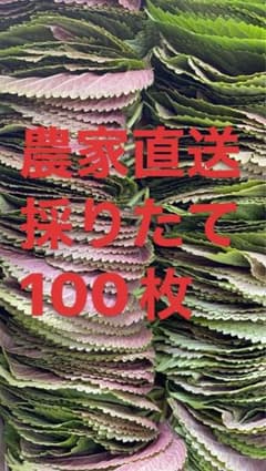えごまの葉のサムネイル