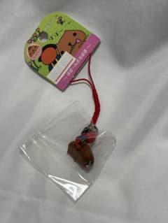 [히다 한정] 당지 카피바라 씨 스트랩 보보 ~ 엔 사루 보보
