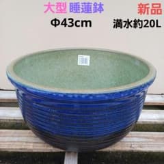 新品　特大　∅50　陶器　睡蓮鉢　メダカ鉢　ヒスイグリーン　手造　青＆緑　LLB 新品 大型 ∅43 陶器 睡蓮鉢 メダカ鉢 高級 青&緑 高級 ルーバー MLB