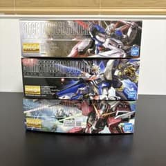 MG(マスターグレード)機動戦士ガンダムSEED DESTINYセット - メルカリ