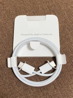 Apple 정품 USB-C 충전 케이블 타입 C 양단 양측 1m