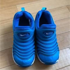 NIKE ナイキ ダイナモフリーのサムネイル