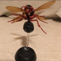 茶色スズメバチのサムネイル