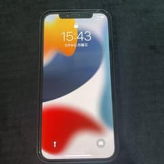竹本さん専用　iPhone 12 ブラック 64 GBのサムネイル