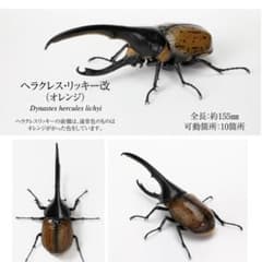 이키모노 대도감 카부토 무시 07 캡슐 버전 헤라클레스 리키 카이 오렌지