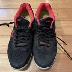 asics シューズ　25.5cmのサムネイル