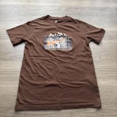 NIKE アドベンチャー Tシャツ ブラウンのサムネイル