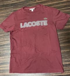 ラコステ　Tシャツのサムネイル