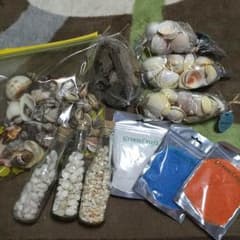 ハンドメイド 貝殻 カラーサンドのサムネイル
