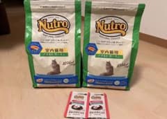専用　ニュートロ室内猫用アダルトサーモン2kg×2とデイリーディッシュのサムネイル