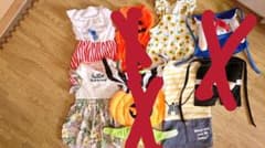 ペット洋服のサムネイル