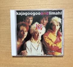 ninon様専用 kajagoogoo and limahl too shyのサムネイル