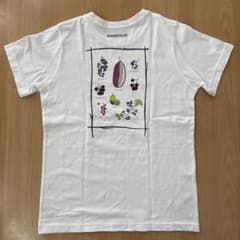 【美品】モンベル Tシャツ L 木の実 ペアスキン UVカット 白のサムネイル