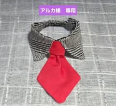 アルカ様専用　シャツカラーネクタイ付きペット用首輪のサムネイル