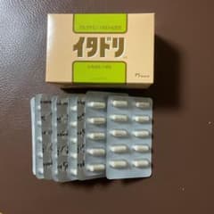 イタドリ　90粒のサムネイル