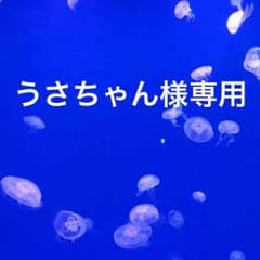 うさちゃん様専用のサムネイル