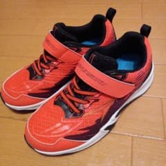 瞬足21cmのサムネイル