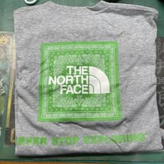 THe NORTH FACE の半袖tシャツのサムネイル
