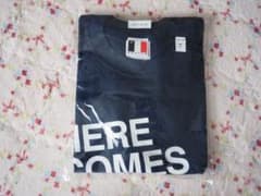 レア未開封！ゴイステHERE COMES Tシャツ 紺白S☆峯田和伸銀杏BOYZのサムネイル
