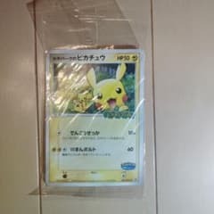 ポケパークのピカチュウ PROMO PCG-Pプロモカード 043/PCG-Pのサムネイル