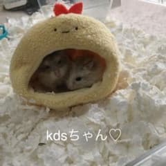 kdsちゃん♡のサムネイル