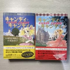 初版・帯付き】キャンディ・キャンディ 愛蔵版 全2巻セット