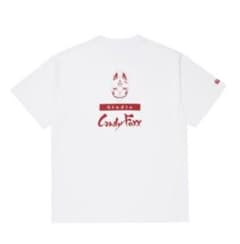 Candy foxx tシャツ mサイズ　別途博多LIFE DVDのサムネイル