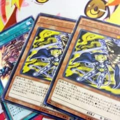 モルモラット、会局、のサムネイル
