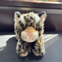 小型ヒョウのぬいぐるみのサムネイル