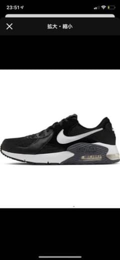 NIKE AIR MAX エクシーのサムネイル