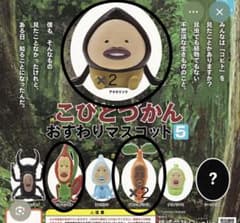 코비 토즈 칸 주름 마스코트 5