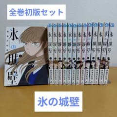 氷の城壁 全14巻セット 阿賀沢紅茶 全巻初版 - メルカリ