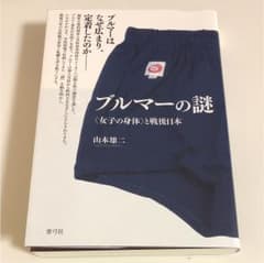 ブルマーの謎のサムネイル