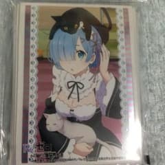 レムスリーブのサムネイル