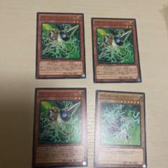 やまとんさん専用のサムネイル