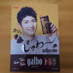 ⭐三浦春馬⭐ 明治 galbo クリアファイル 新品