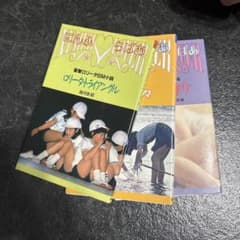 절판 로리타 트라이앵글 츠즈키 영로 외 3권 세트