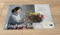 堀北真希　東京メトロ　クリアファイルのサムネイル