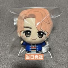 TinyTAN DNA 치비구루미 vol.1 남준