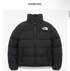THE NORTH FACE ダウンのサムネイル