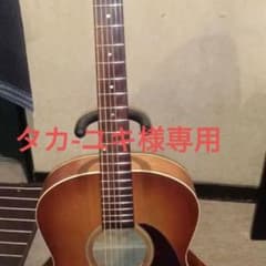 シーガルアコースティックギター調整済‼️超低弦高‼️弾きやすい‼️のサムネイル