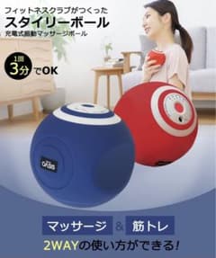 東急スポーツオアシス　スタイリーボールのサムネイル