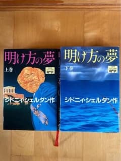 シドニィ・シェルダン「明け方の夢」上下巻のサムネイル