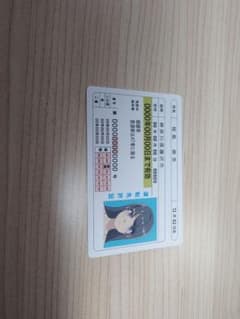 검은 * 날개 푸른 돼지 사쿠라지마 마이 면허증