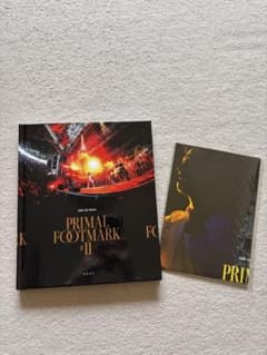 ONE OK ROCK PRIMAL FOOTMARK #11のサムネイル