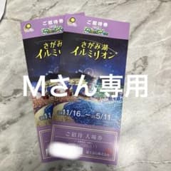 さがみ湖イルミリオン 招待券 2024年のサムネイル