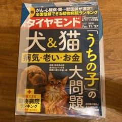 週刊ダイヤモンド　11/27号のサムネイル